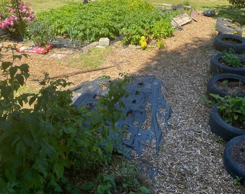 Do I have an&nbsp;allotment?